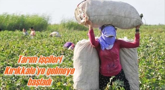 Tarım işçileri Kırıkkale´ye gelmeye başladı
