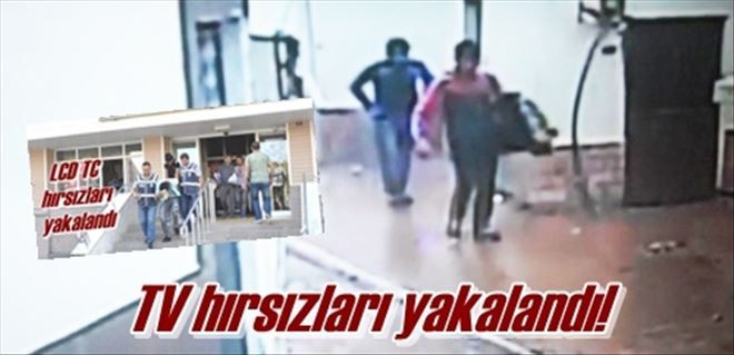 Televizyon hırsızları tutuklandı 