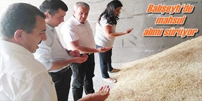 Balışeyh´de mahsul alımı sürüyor