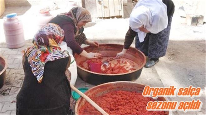 Organik salça sezonu açıldı