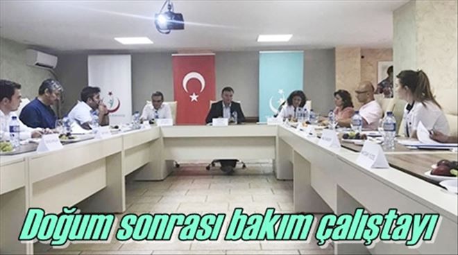 Çalıştay yaptılar