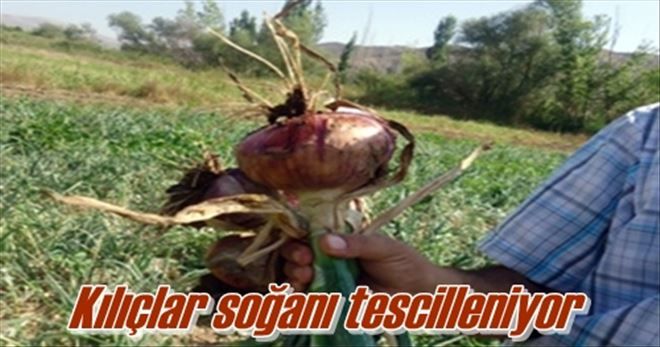 Kılıçlar soğanı tescilleniyor