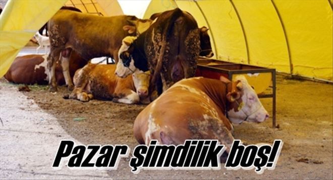 Pazar şimdilik boş!