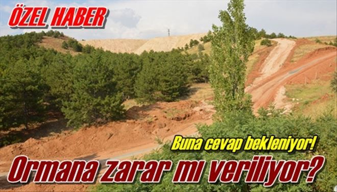 Ormana zarar mı veriliyor?