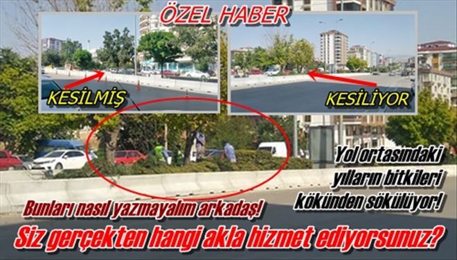 Siz gerçekten hangi akla hizmet ediyorsunuz?