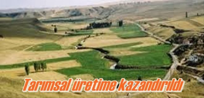 Tarımsal üretime kazandırıldı