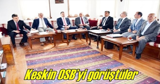 Keskin OSB´yi görüştüler