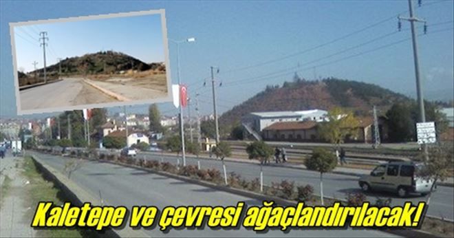Kaletepe ağaçlandırılacak