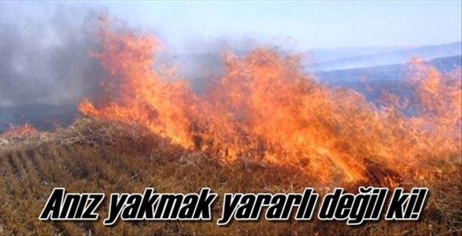 Anız yakmak verim düşürür
