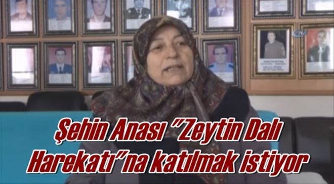 Şehin Anası 