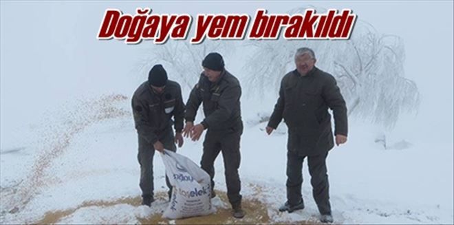 Doğaya yem bırakıldı