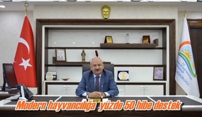 Modern hayvancılığa  yüzde 50 hibe destek 