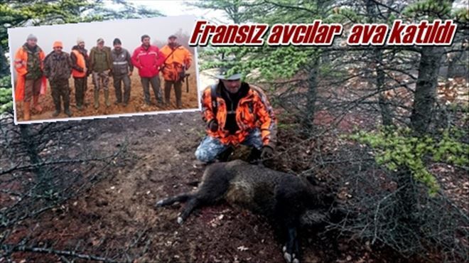 Fransız avcılar ava katıldı