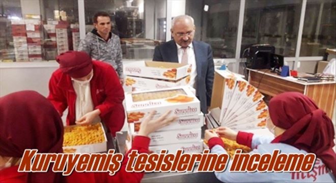 Kuruyemiş tesislerine inceleme