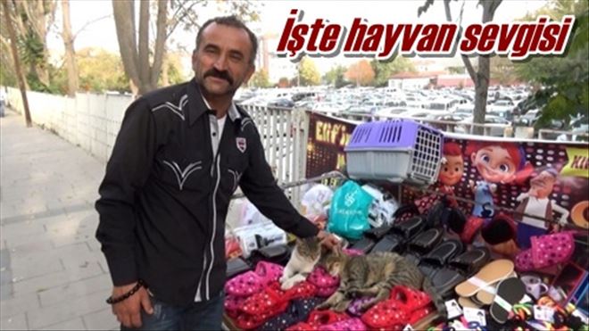 İşte hayvan sevgisi