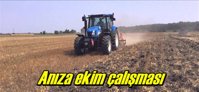 Anıza ekim sürüyor