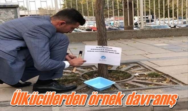 Ülkücülerden örnek davranış