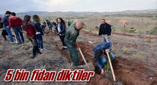 5 bin fidan diktiler