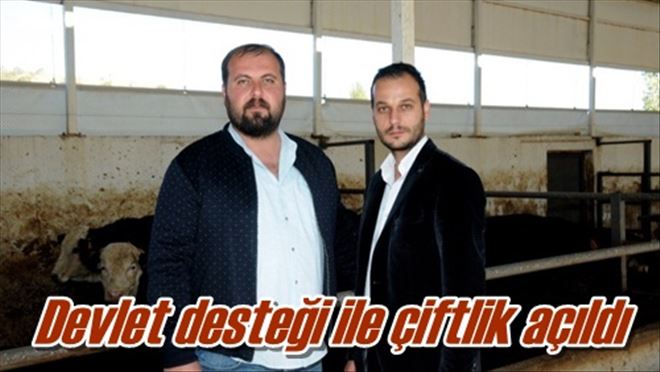 Çiftlik kurdular