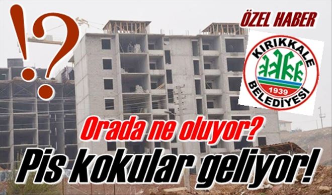 Orada ne oluyor?
