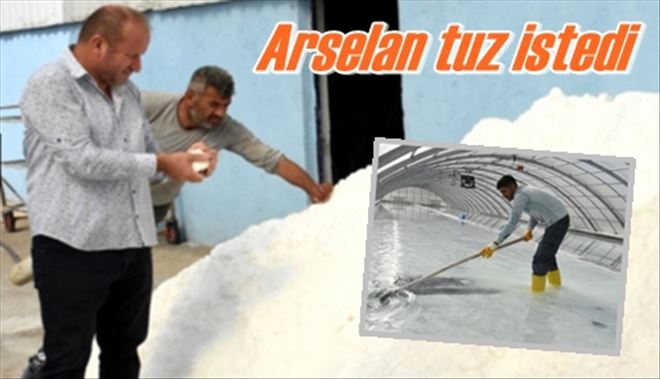 Arsenal tuz istedi