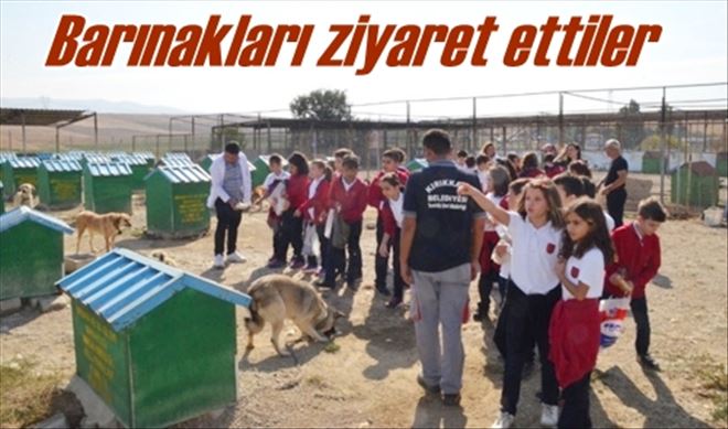 Barınakları ziyaret ettiler