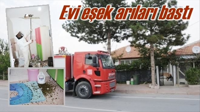 Arılar evi bastı