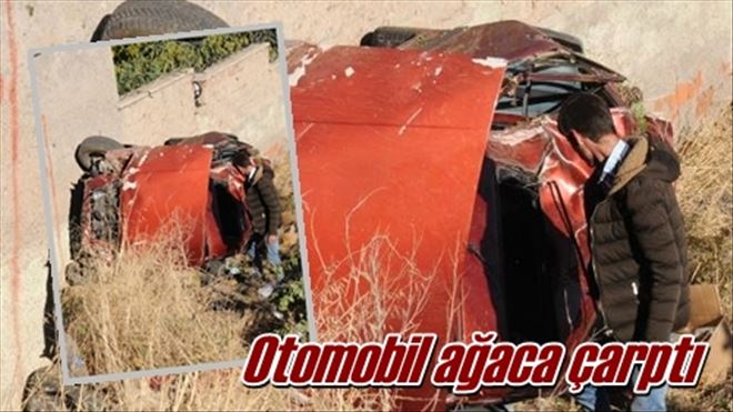 Otomobil ağaca çarptı