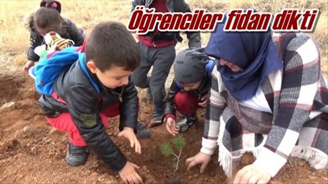 Öğrenciler fidan dikti