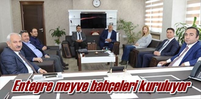 Entegre meyve bahçeleri kuruluyor
