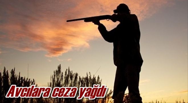 Avcılara ceza yağdı