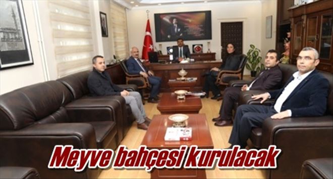 Meyve bahçesi kurulacak