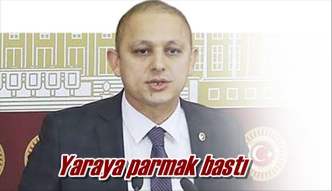 Gençler gurbetçi oluyor