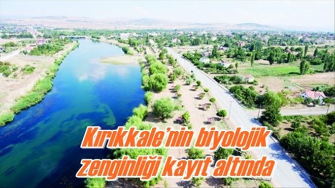 Kırıkkale´nin biyolojik  zenginliği kayıt altında