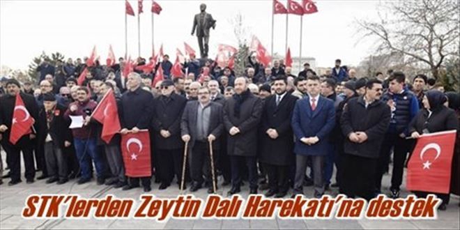 STK´lerden Zeytin Dalı Harekatı´na destek