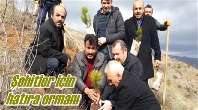Şehitler için hatıra ormanı