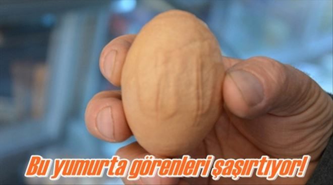 Bu yumurta görenleri şaşırtıyor!