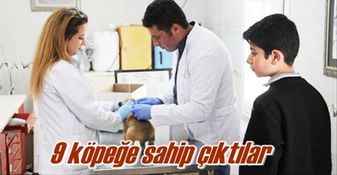 ?Sahiplenmek onları yaşatmaktır?