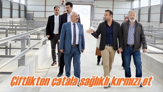 Çiftlikten çatala sağlıklı kırmızı et