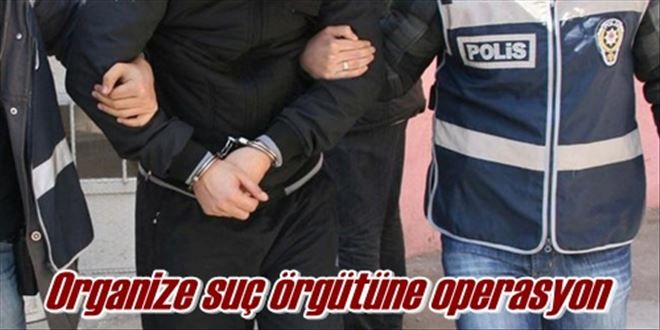 Organize suç örgütüne operasyon