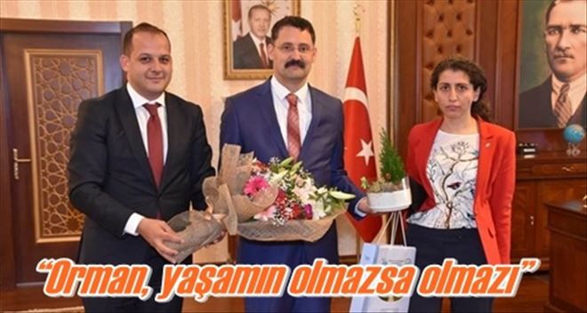 ?Orman, yaşamın olmazsa olmazı?