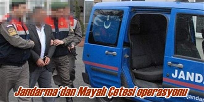 Jandarma´dan Mayalı Çetesi operasyonu