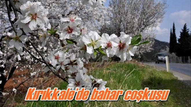 Kırıkkale´de bahar coşkusu