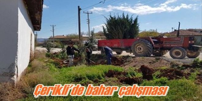 Çerikli´de bahar çalışması