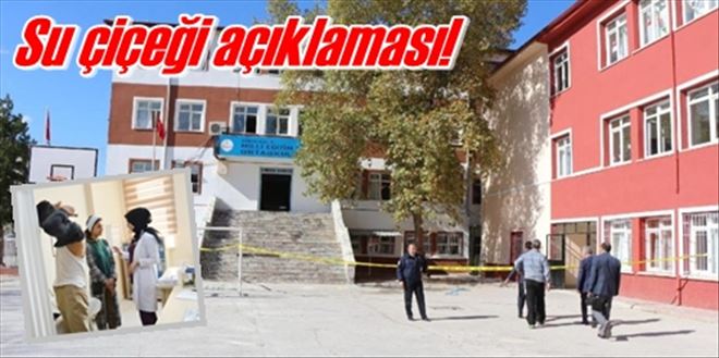 Suçiçeği açıklaması!