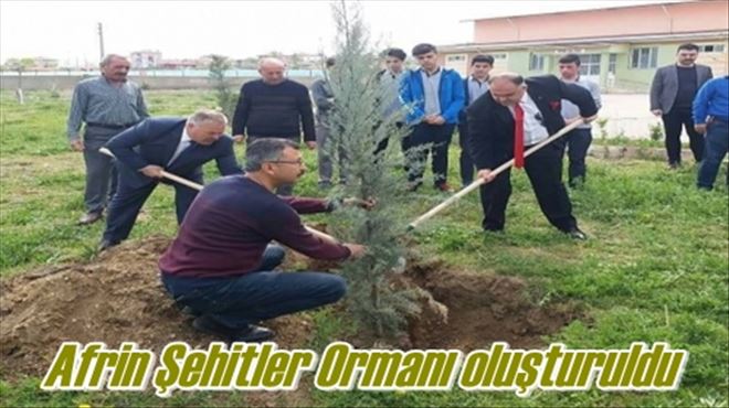 Afrin Şehitler Ormanı oluşturuldu 