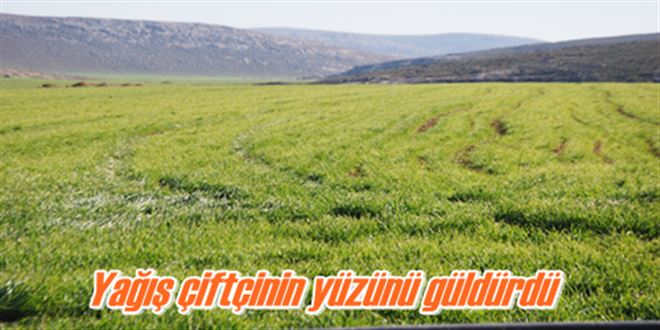 Yağış çiftçinin yüzünü güldürdü 