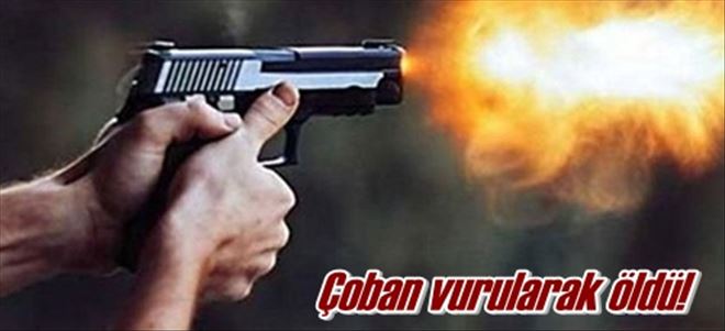 Çoban vurularak öldü!