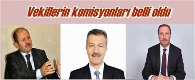 Vekillerin komisyonları belli oldu