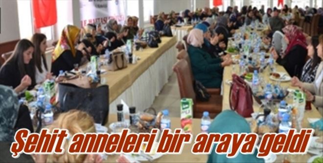 Şehit anneleri bir araya geldi